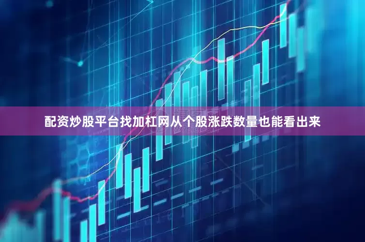 配资炒股平台找加杠网从个股涨跌数量也能看出来