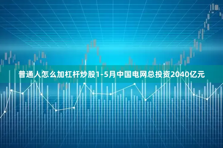 普通人怎么加杠杆炒股1-5月中国电网总投资2040亿元