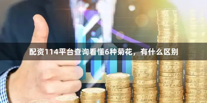 配资114平台查询看懂6种菊花，有什么区别