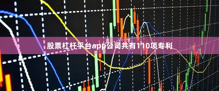 股票杠杆平台app公司共有110项专利